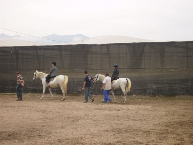 Hipoterapia Hipoterapia