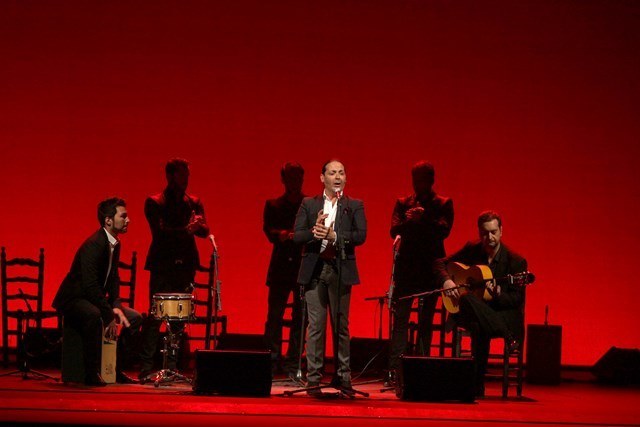 Gala Flamenca ASEM (Sevilla)